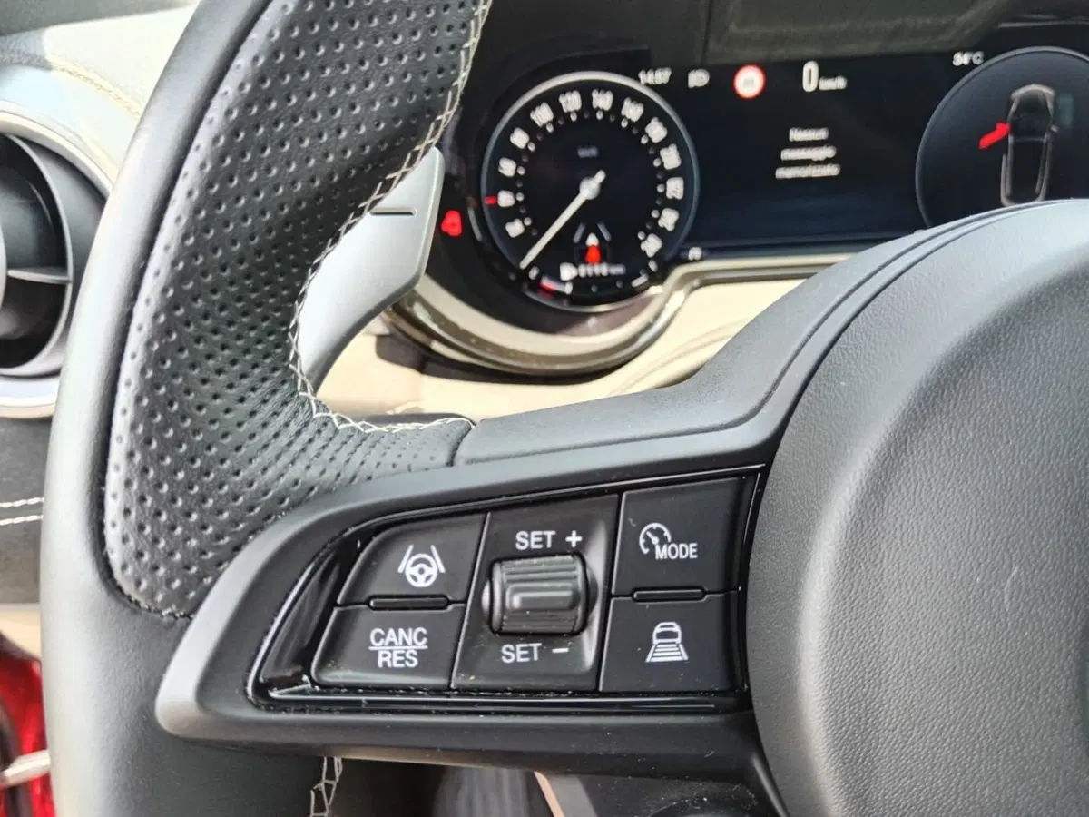 Alfa Romeo Tonale usata a Alessandria (18)