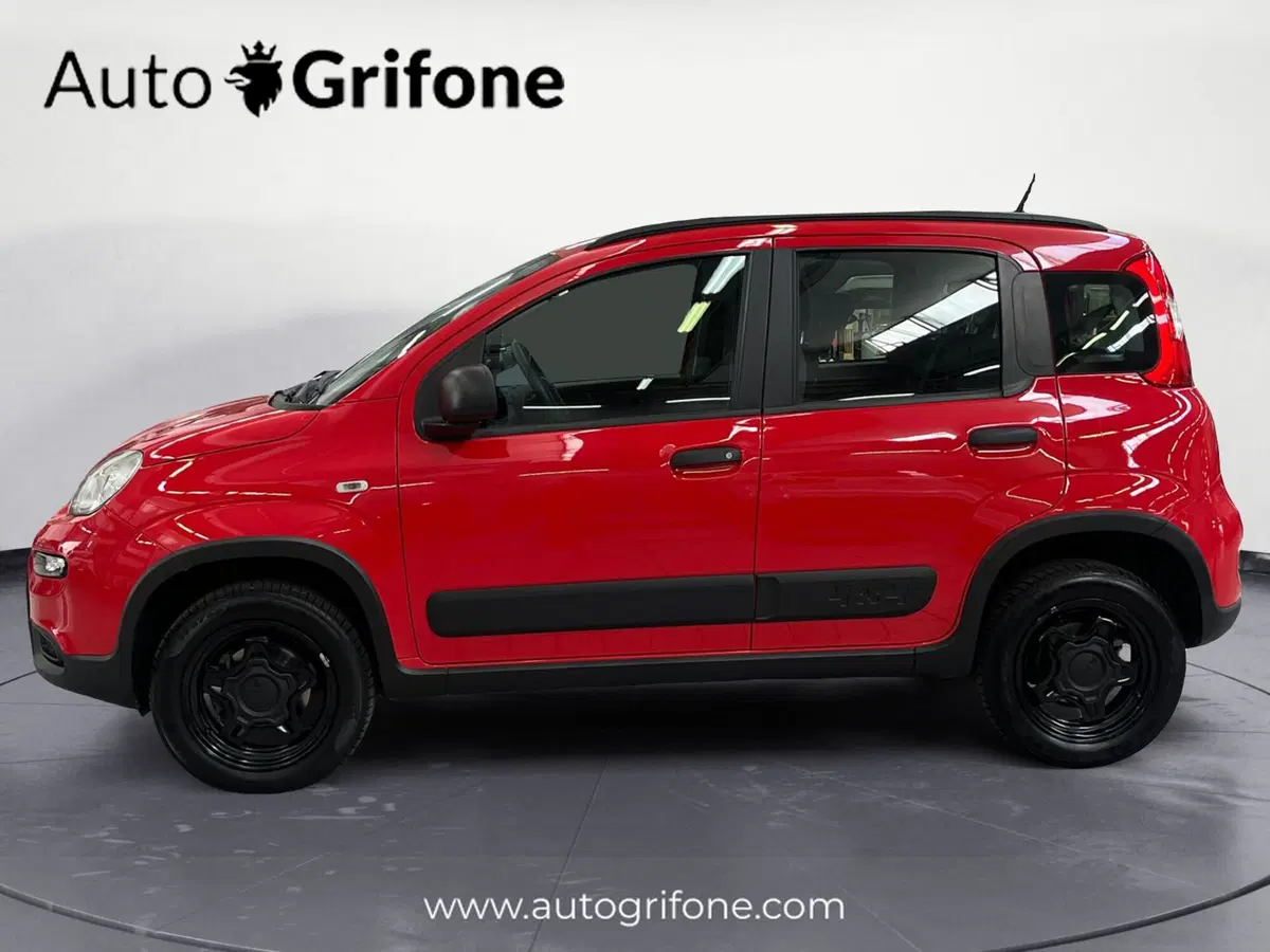 Fiat Panda usata a Modena