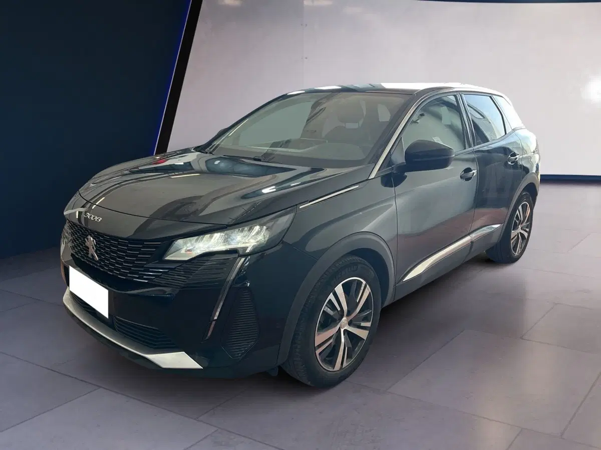Peugeot 3008 usata a Torino (3)