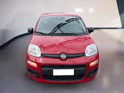 Fiat Pandina 1.0 firefly hybrid s&s 70cv del 2025 usata a Torino