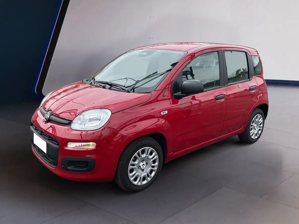 Fiat Pandina usata a Torino (2)