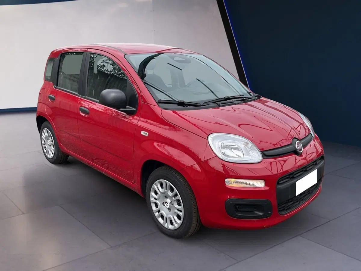 Fiat Pandina usata a Torino (3)