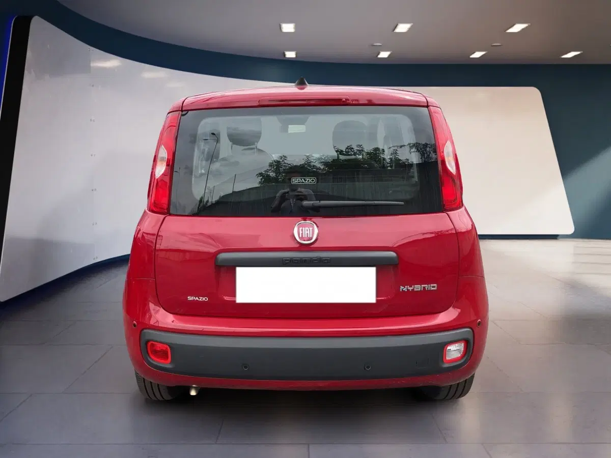 Fiat Pandina usata a Torino (5)