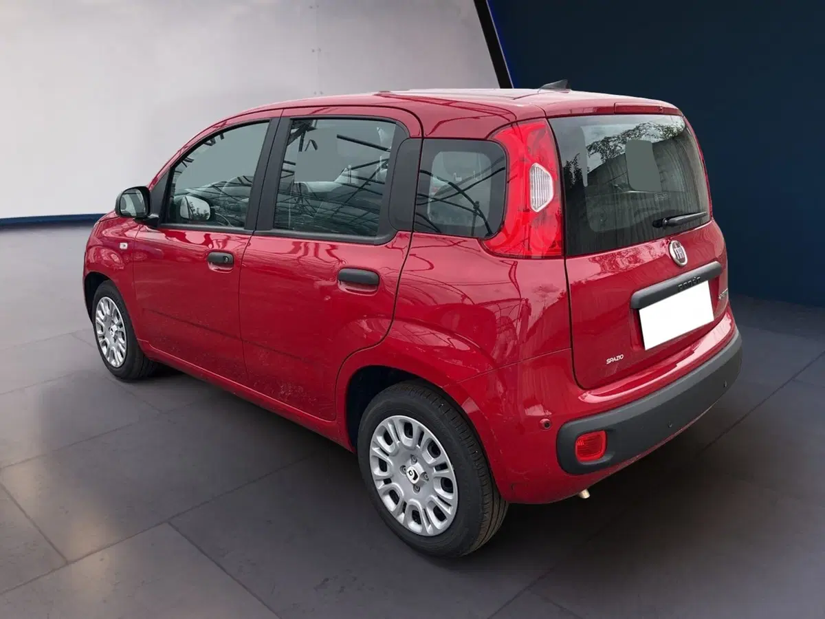 Fiat Pandina usata a Torino (6)