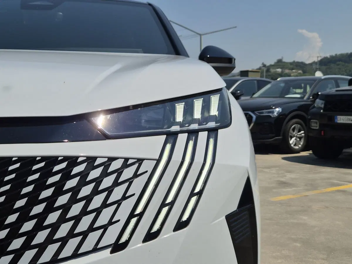 Peugeot 3008 usata  (18)