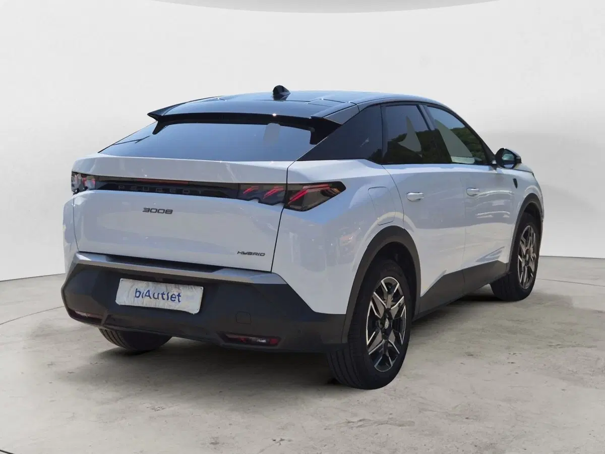 Peugeot 3008 usata  (4)