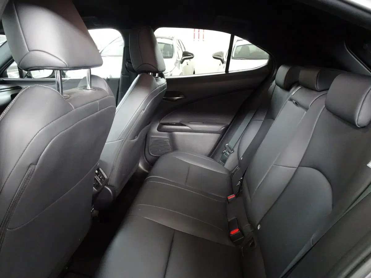 Lexus UX usata a Belluno (9)
