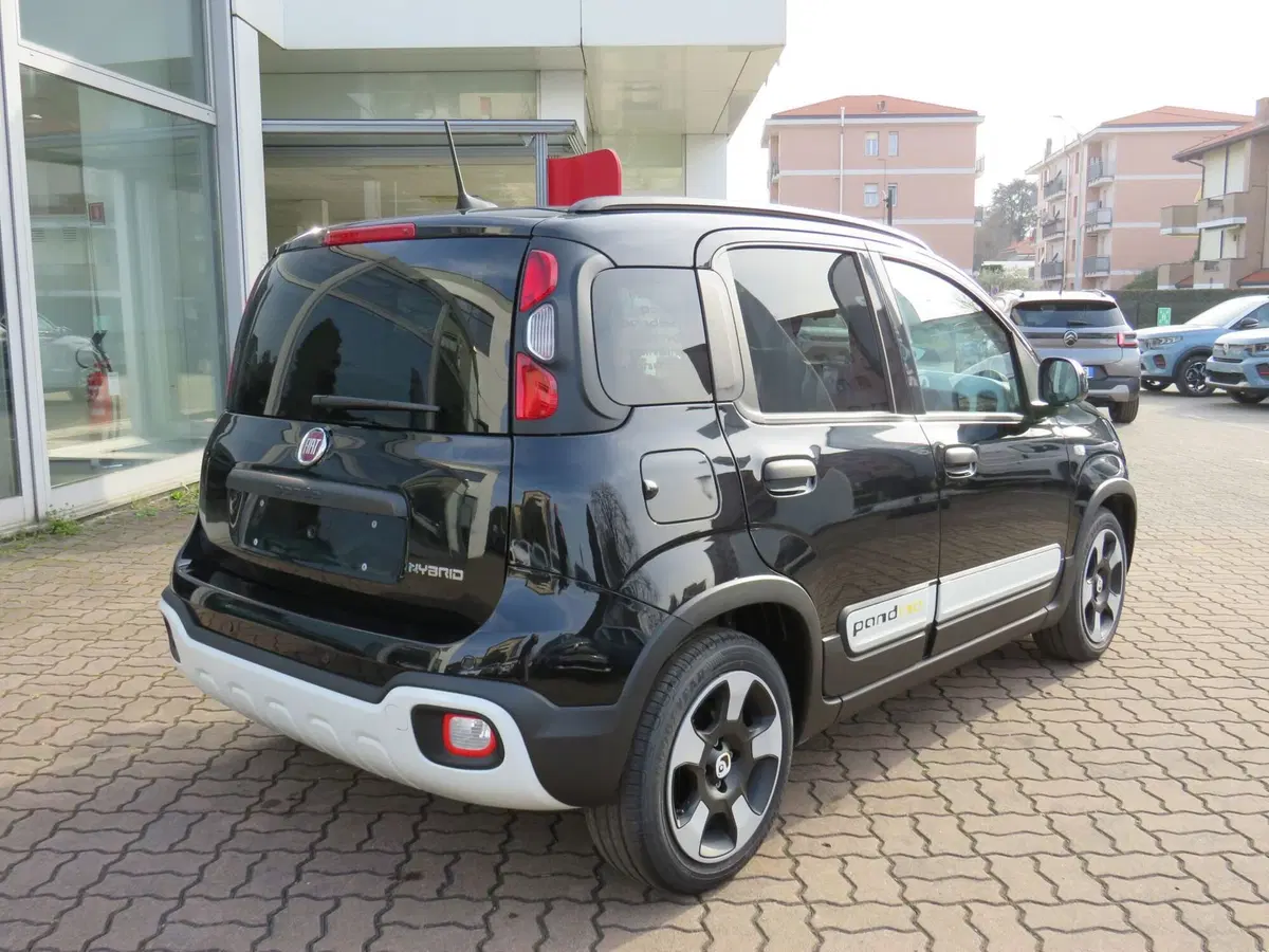 Fiat Pandina nuova a Monza e Brianza (4)
