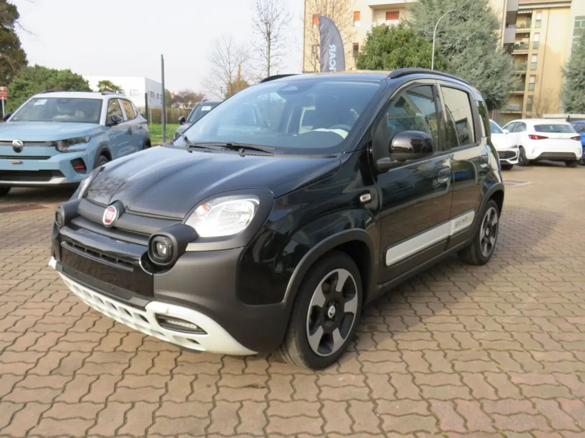 Fiat Pandina nuova a Monza e Brianza (8)