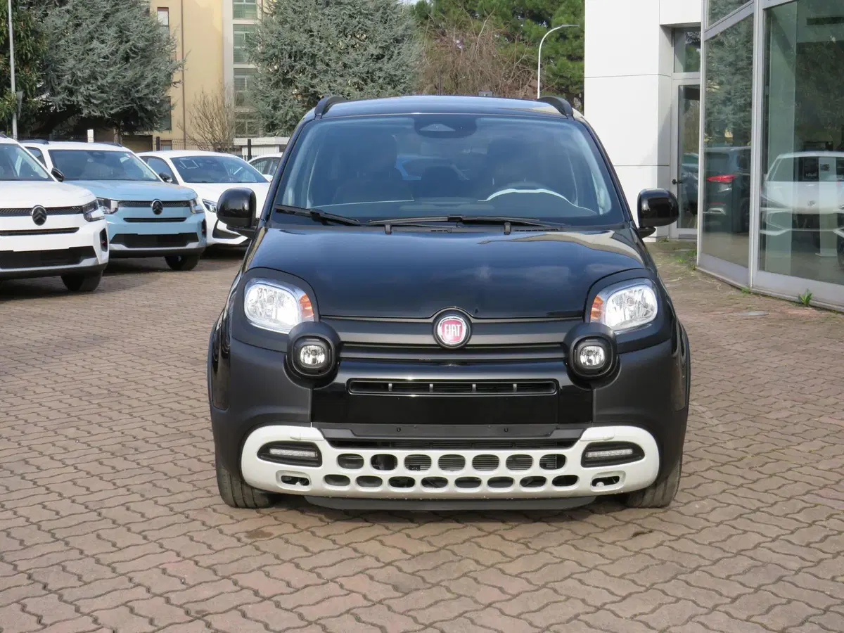 Fiat Pandina nuova a Monza e Brianza (9)