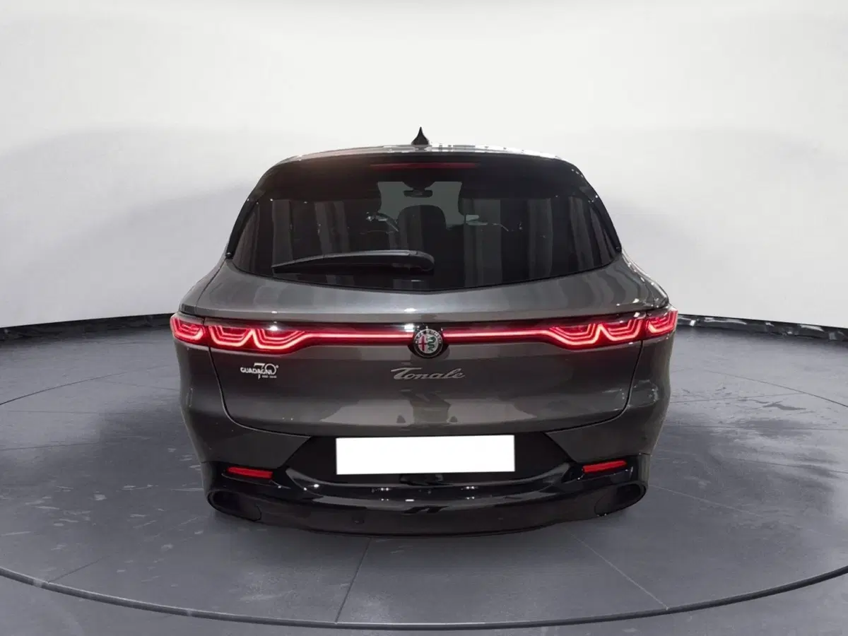Alfa Romeo Tonale usata a Agrigento (4)