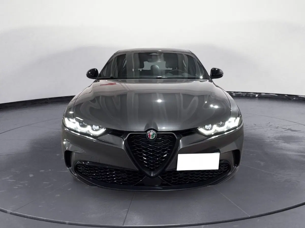 Alfa Romeo Tonale usata a Agrigento (5)