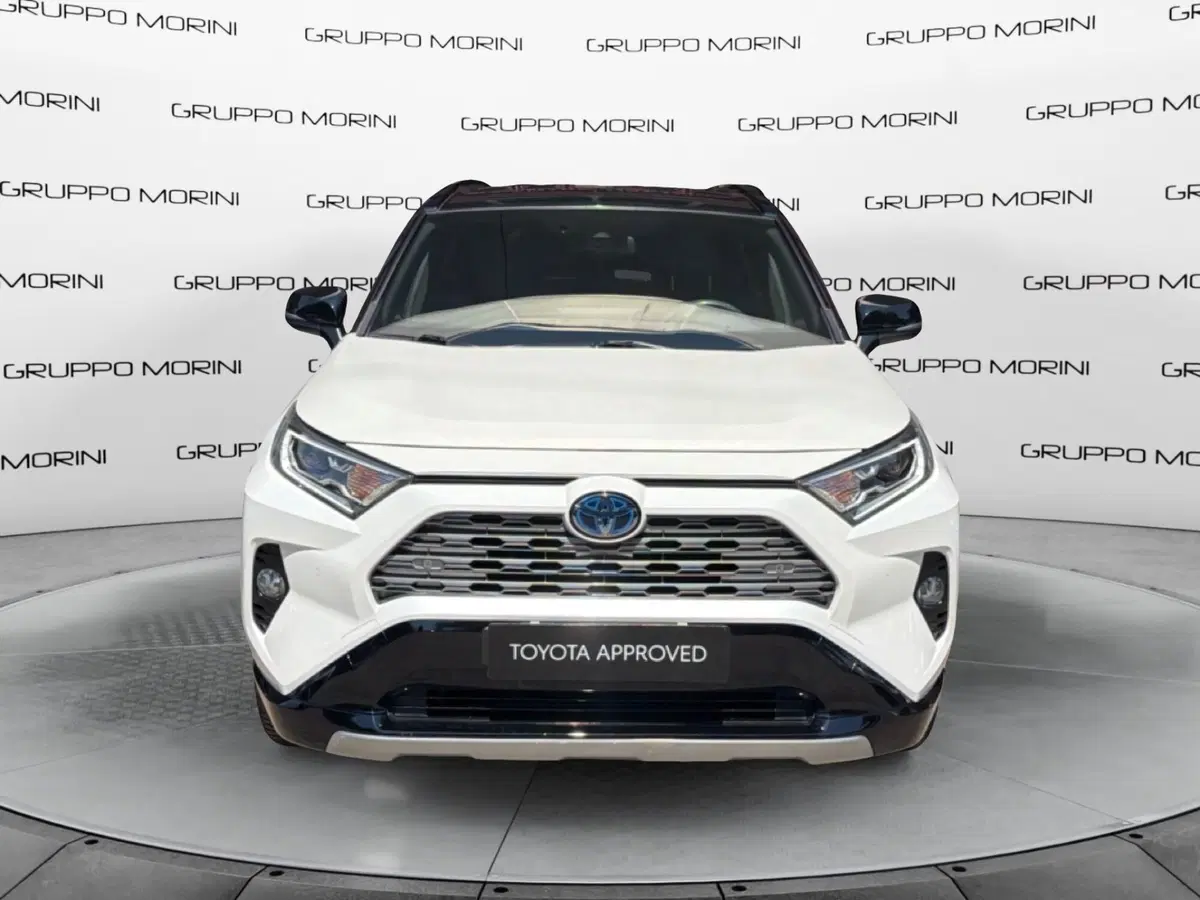 Toyota Rav4 usata a Forlì-Cesena