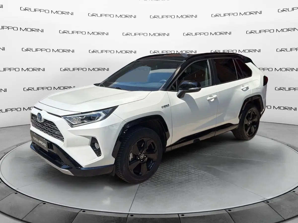 Toyota Rav4 usata a Forlì-Cesena (2)