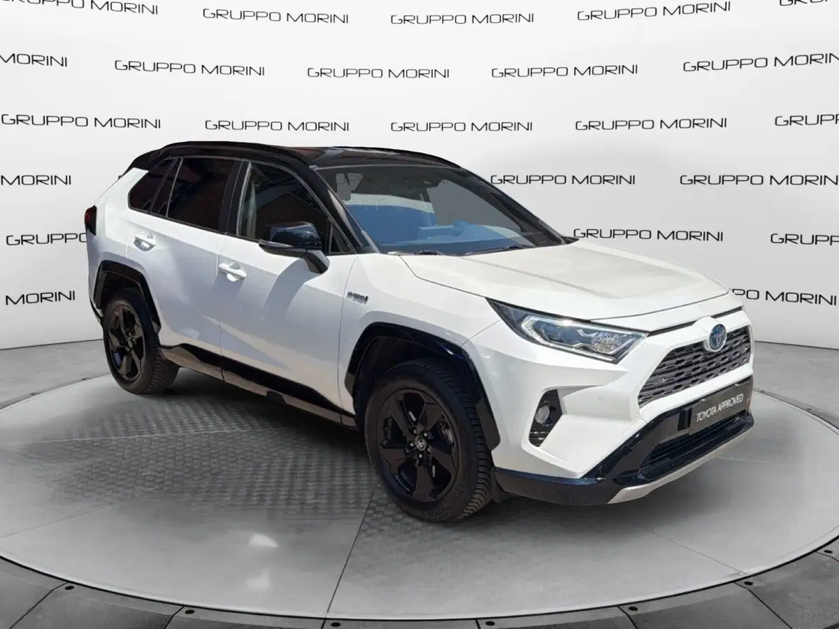 Toyota Rav4 usata a Forlì-Cesena (3)