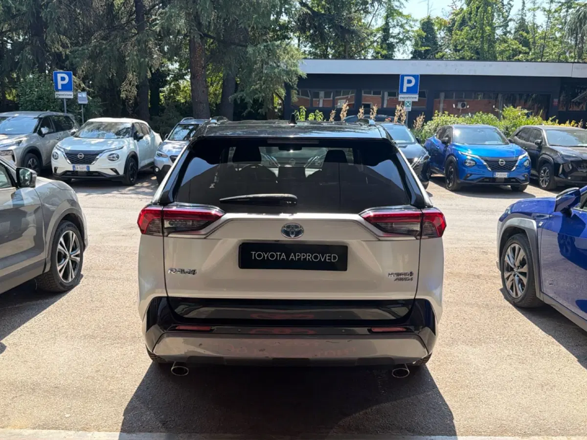 Toyota Rav4 usata a Forlì-Cesena (4)