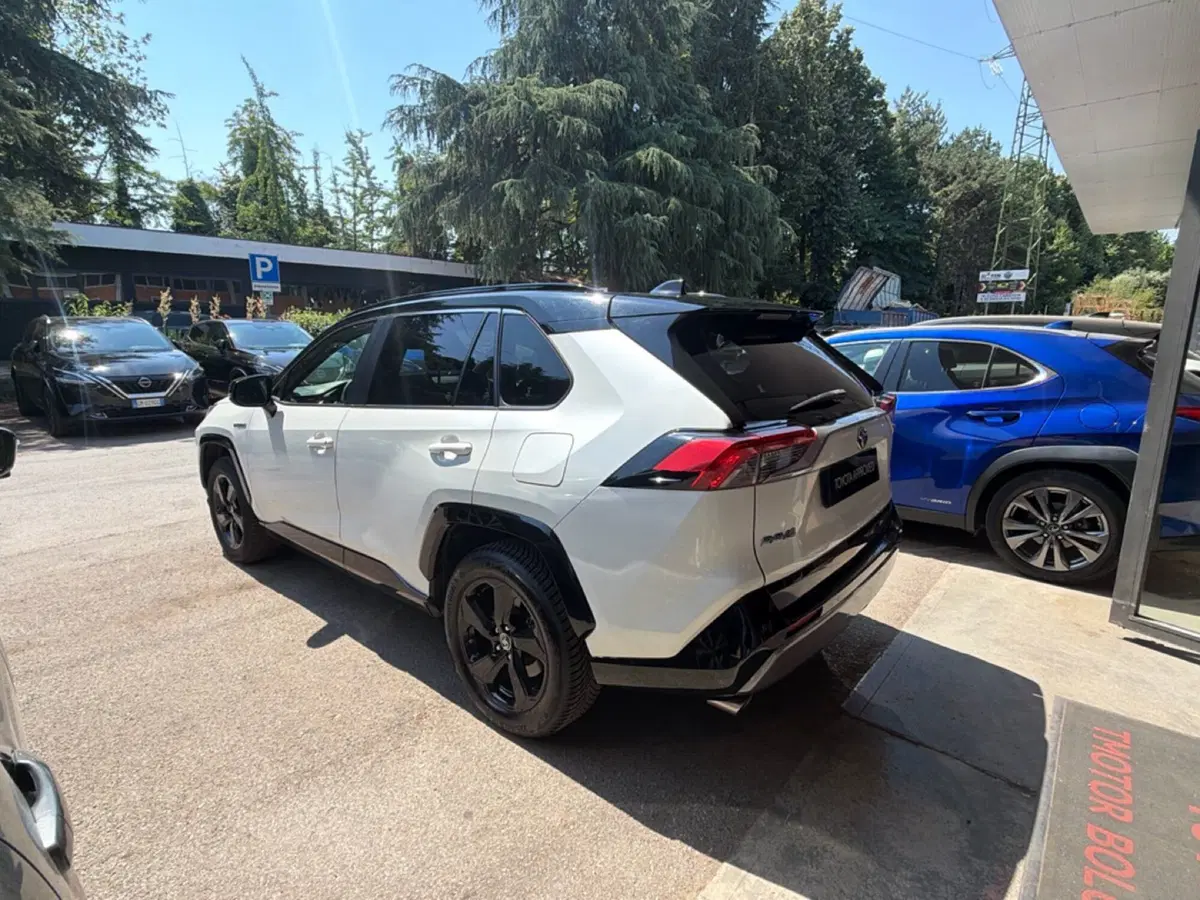 Toyota Rav4 usata a Forlì-Cesena (5)