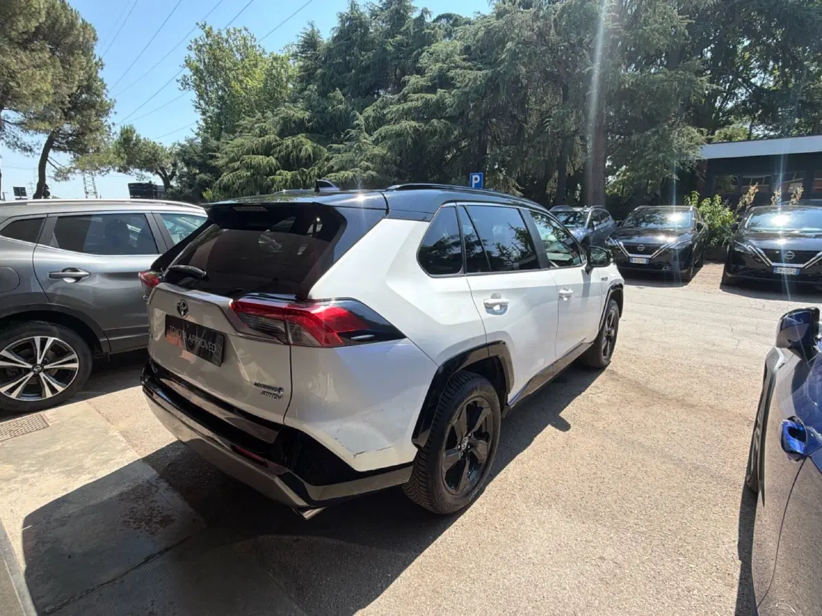 Toyota Rav4 usata a Forlì-Cesena (6)