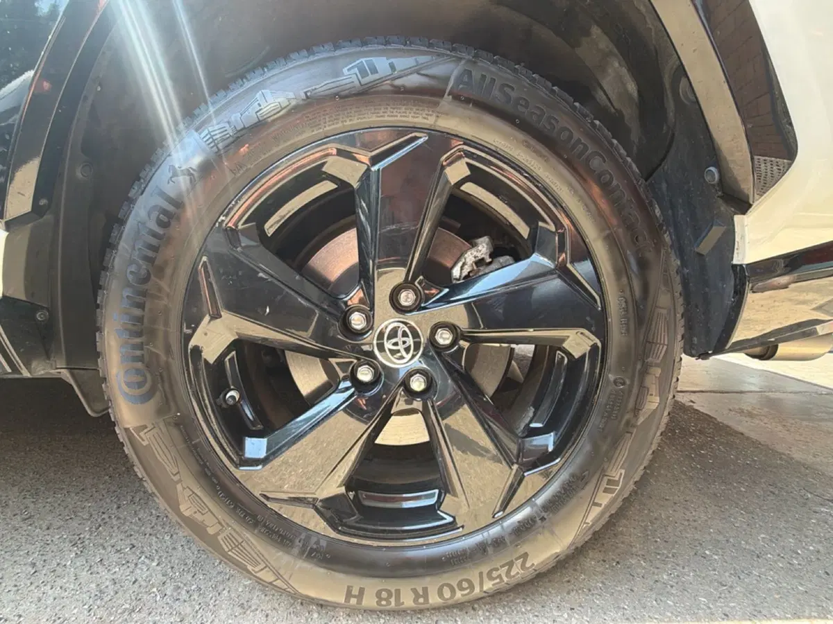 Toyota Rav4 usata a Forlì-Cesena (7)