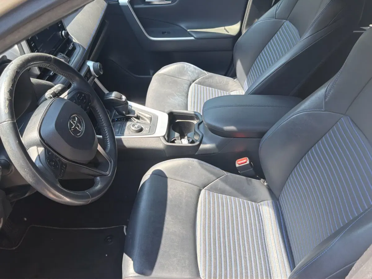 Toyota Rav4 usata a Forlì-Cesena (8)
