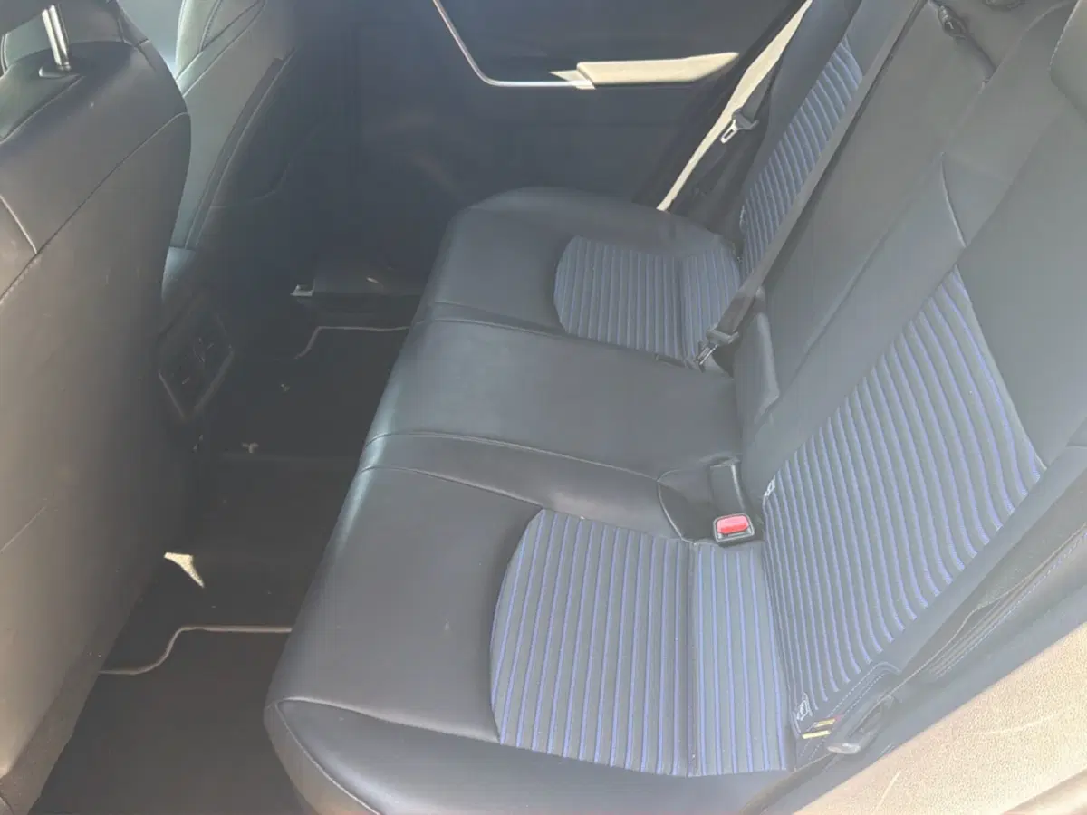 Toyota Rav4 usata a Forlì-Cesena (9)