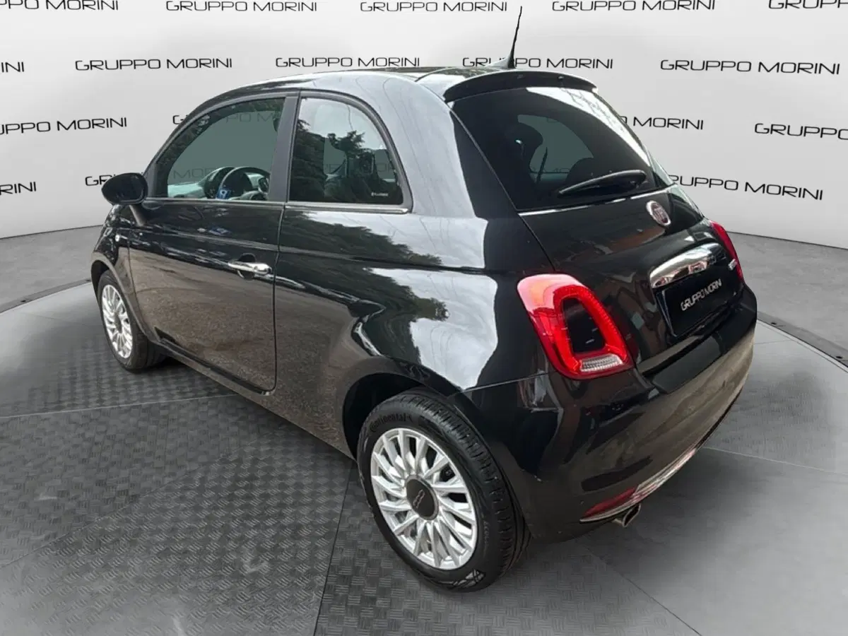 Fiat 500 usata a Bologna (5)