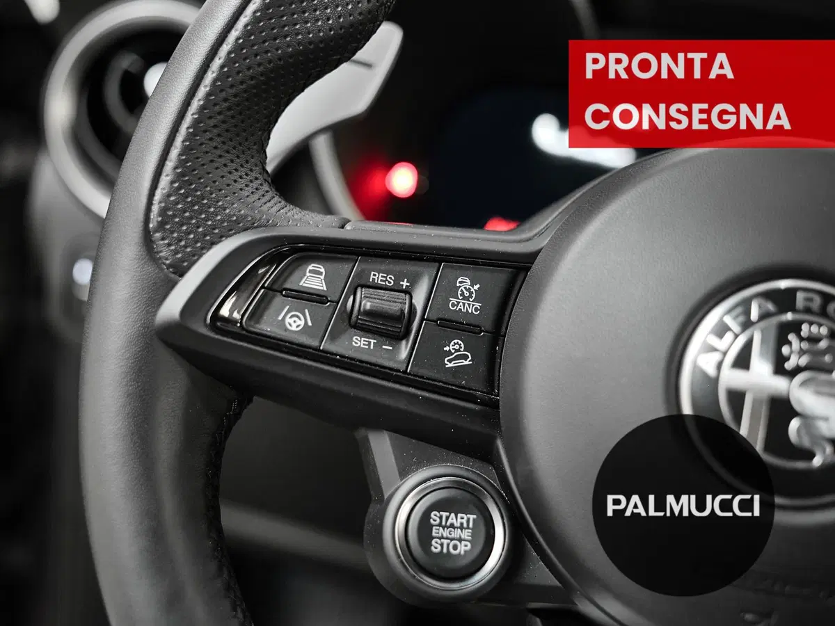 Alfa Romeo Stelvio usata a Prato (15)