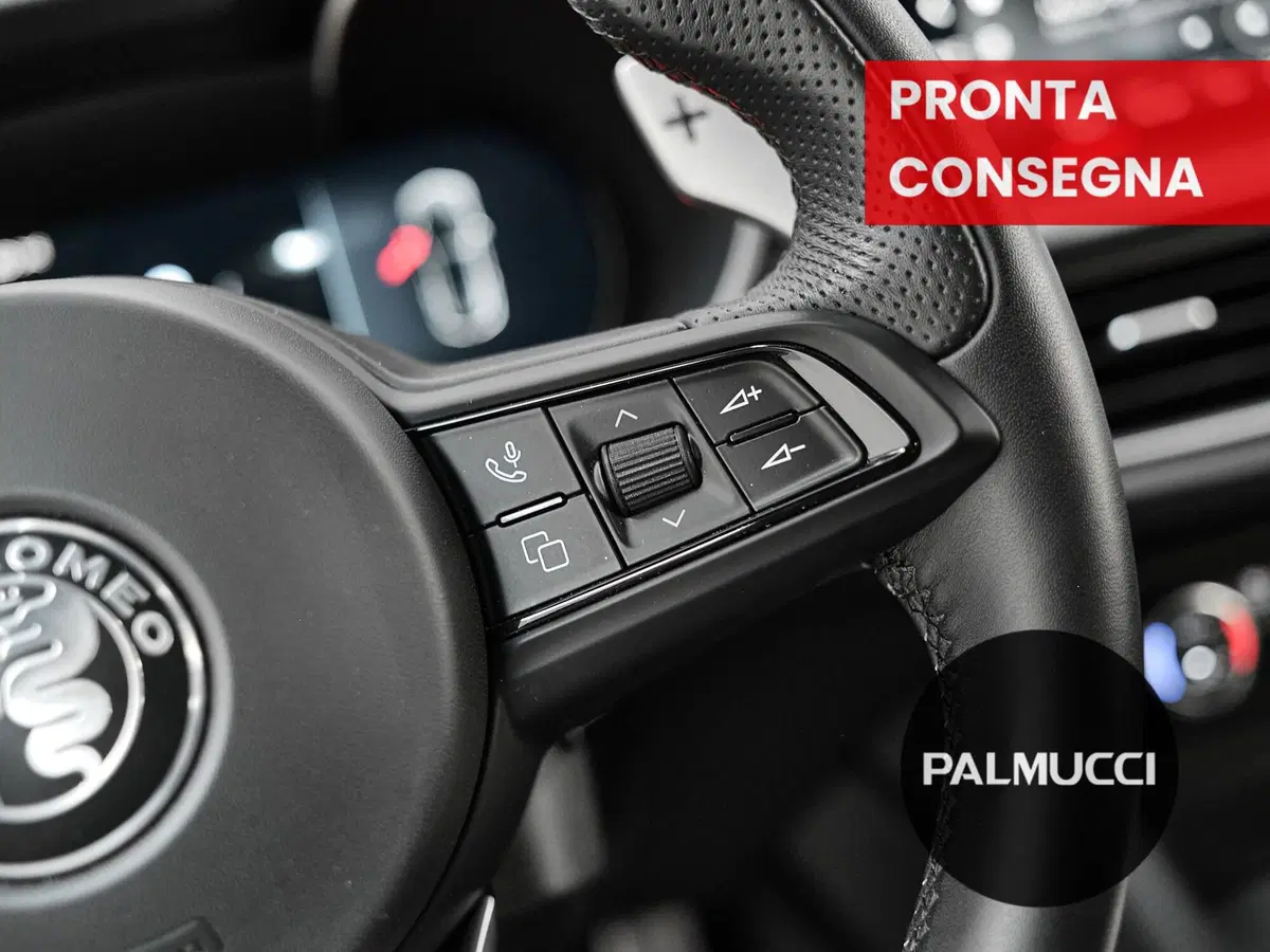 Alfa Romeo Stelvio usata a Prato (18)