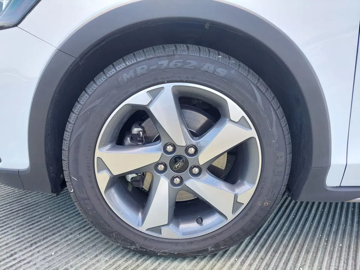 Ford Focus usata a Treviso (6)