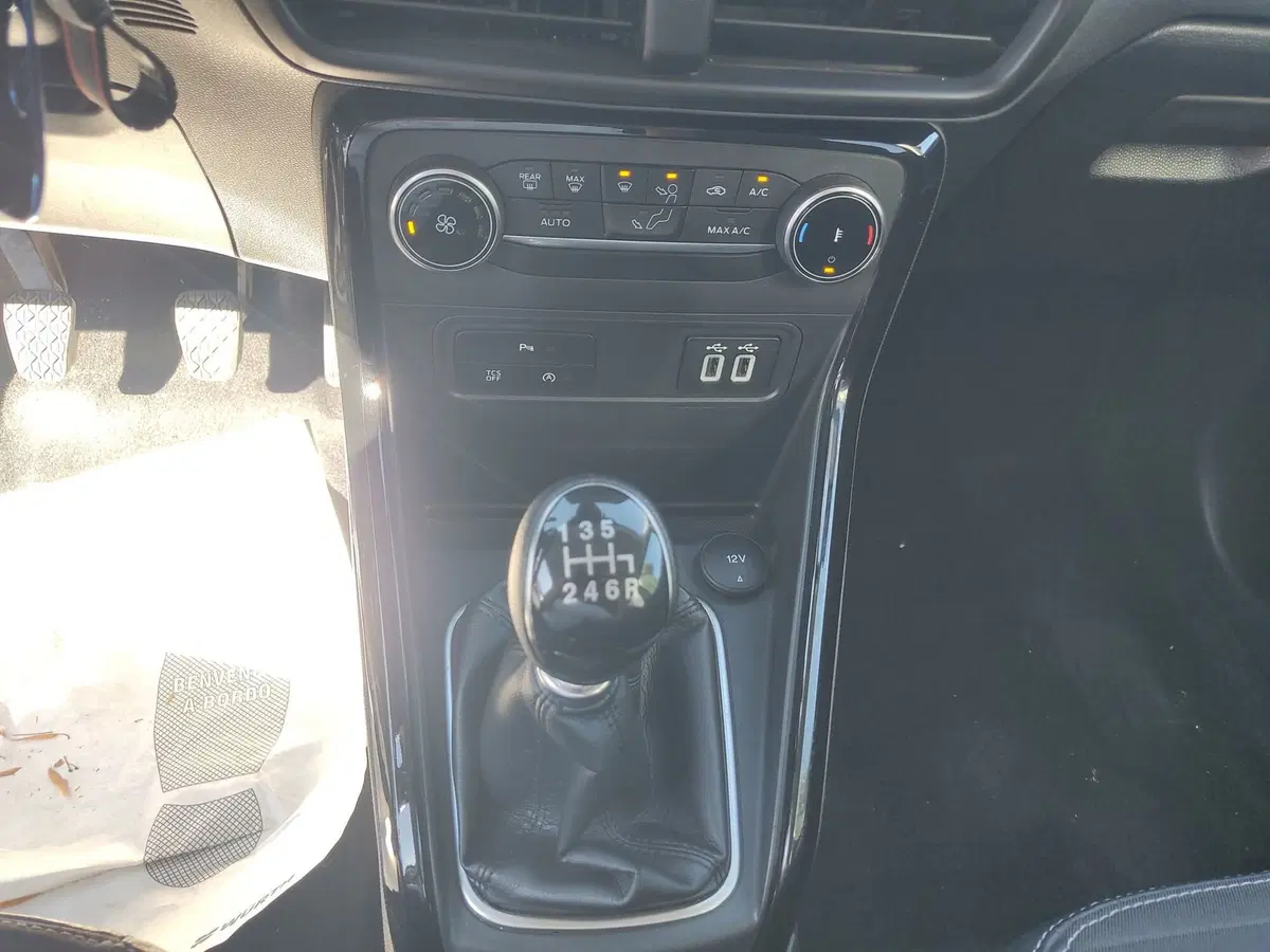 Ford EcoSport usata a Frosinone (11)