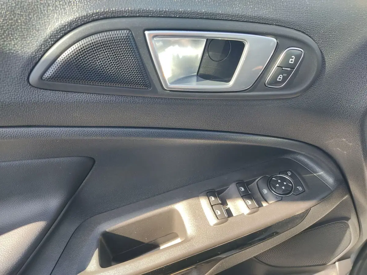 Ford EcoSport usata a Frosinone (12)