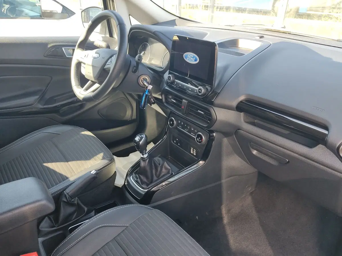Ford EcoSport usata a Frosinone (8)