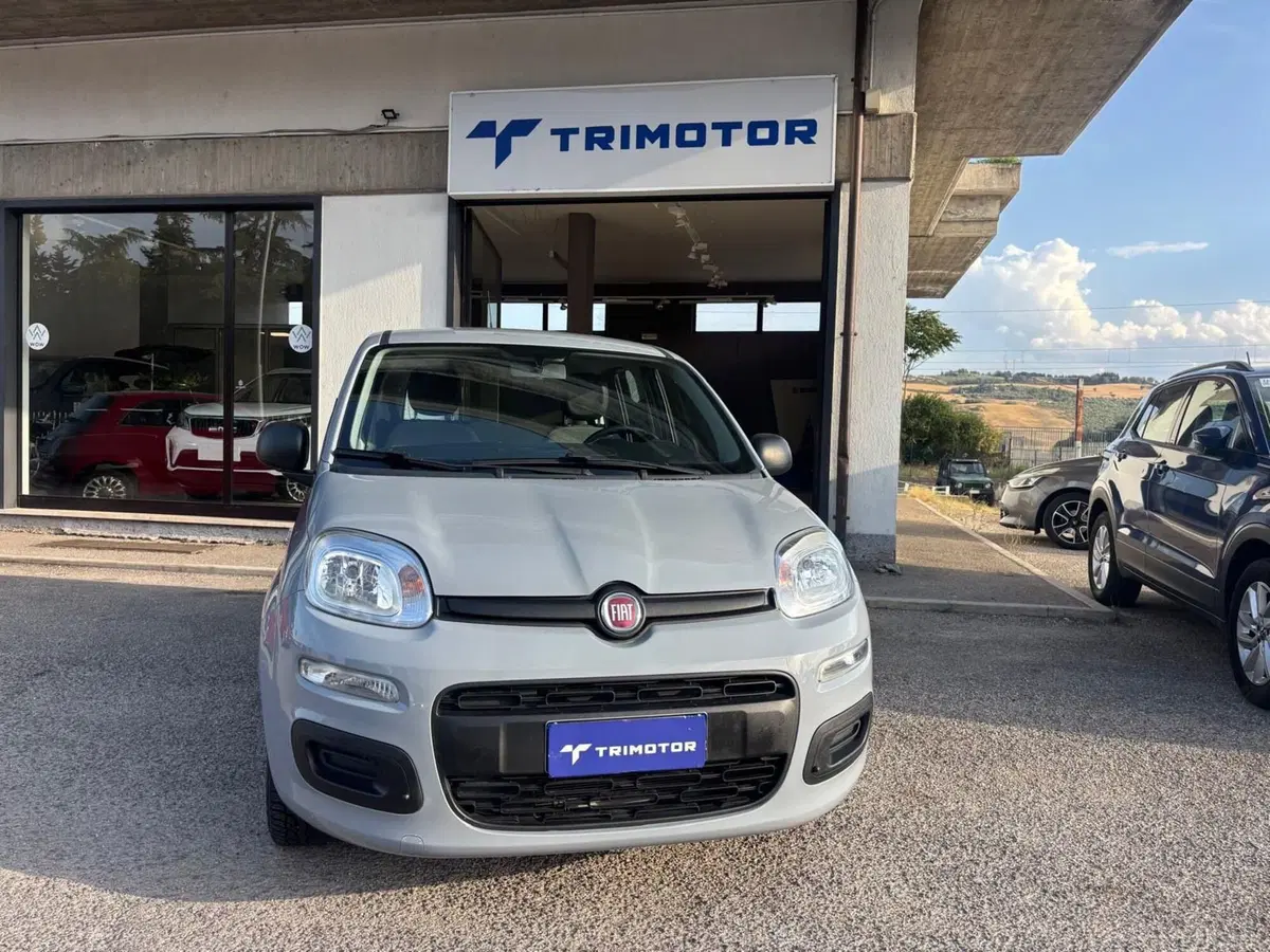 Fiat Panda Cross usata a Teramo