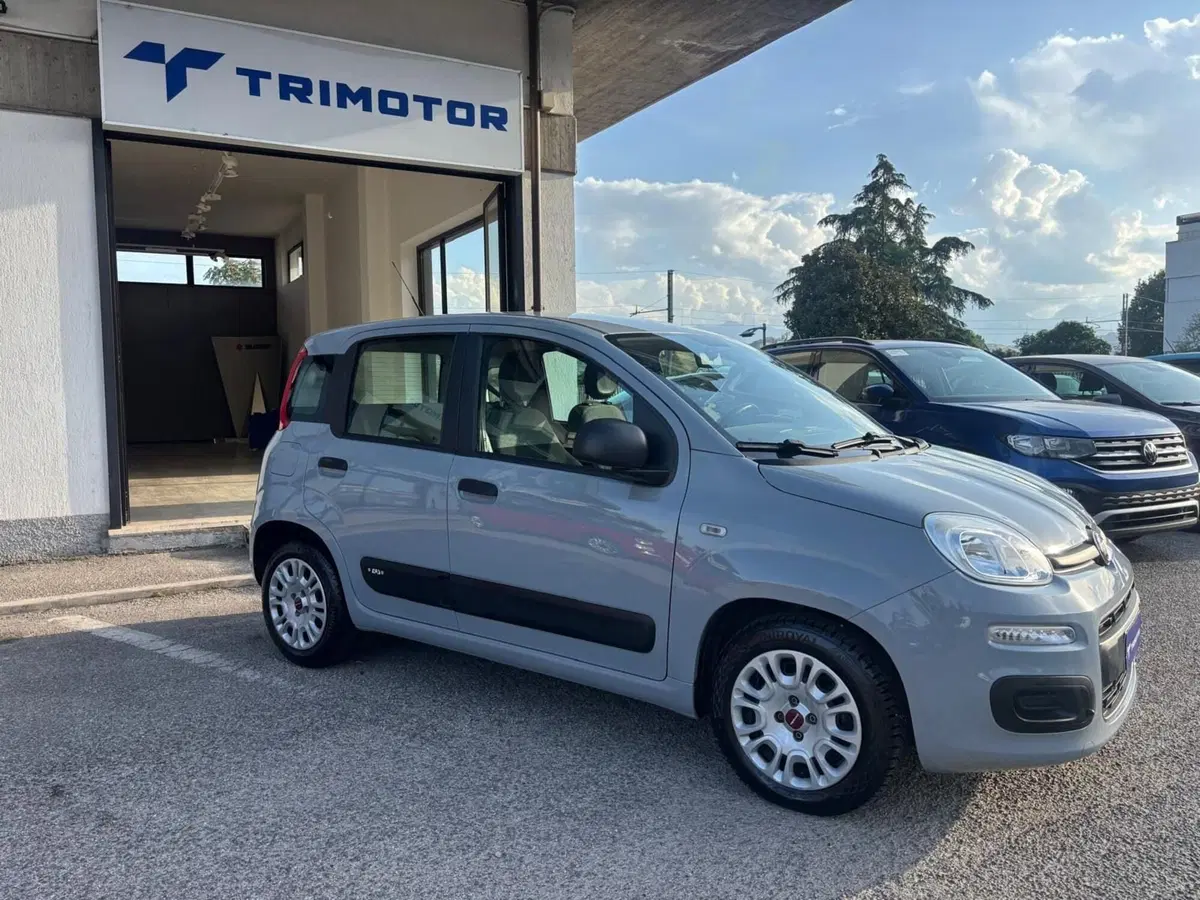 Fiat Panda Cross usata a Teramo (2)