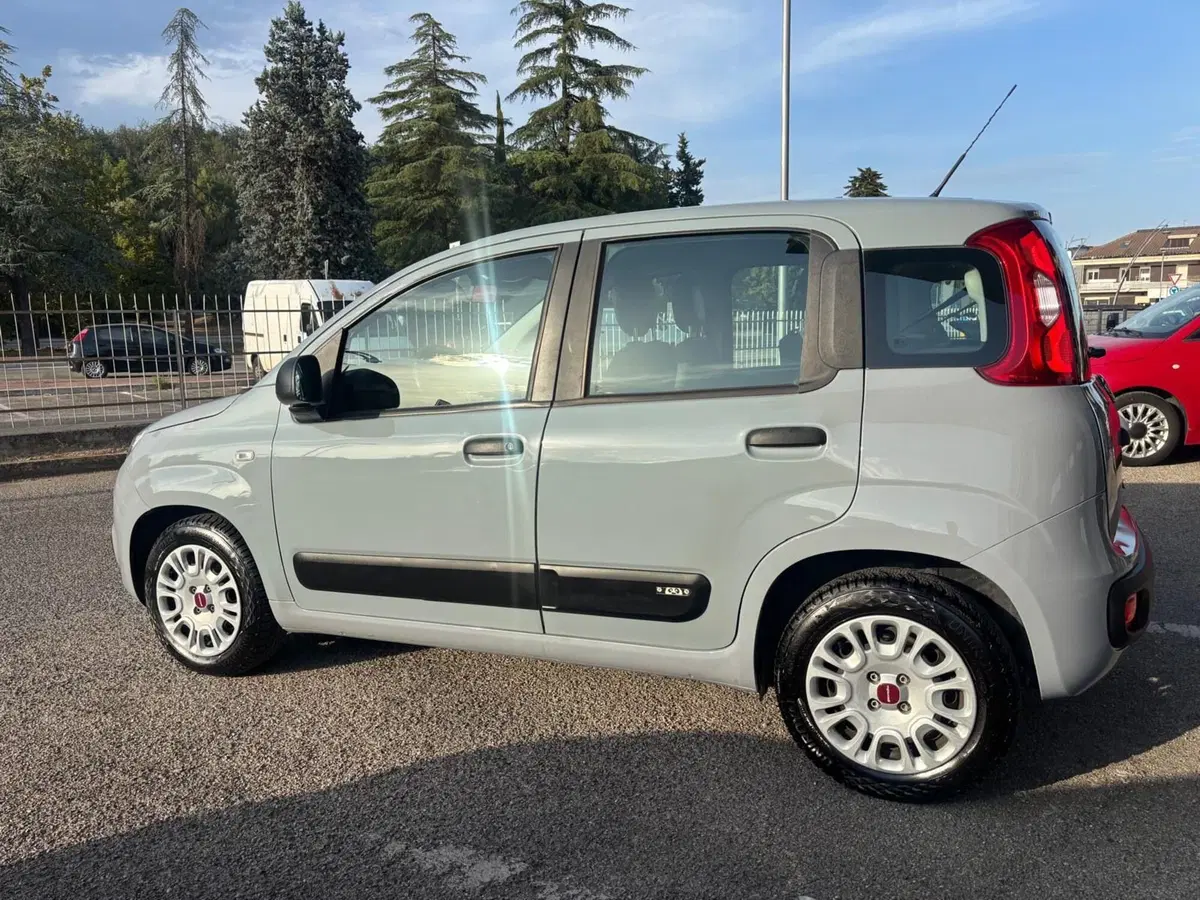 Fiat Panda Cross usata a Teramo (3)