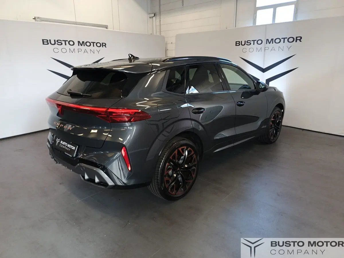 Cupra Terramar usata a Varese (4)