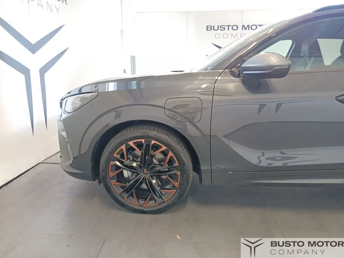 Cupra Terramar usata a Varese (7)