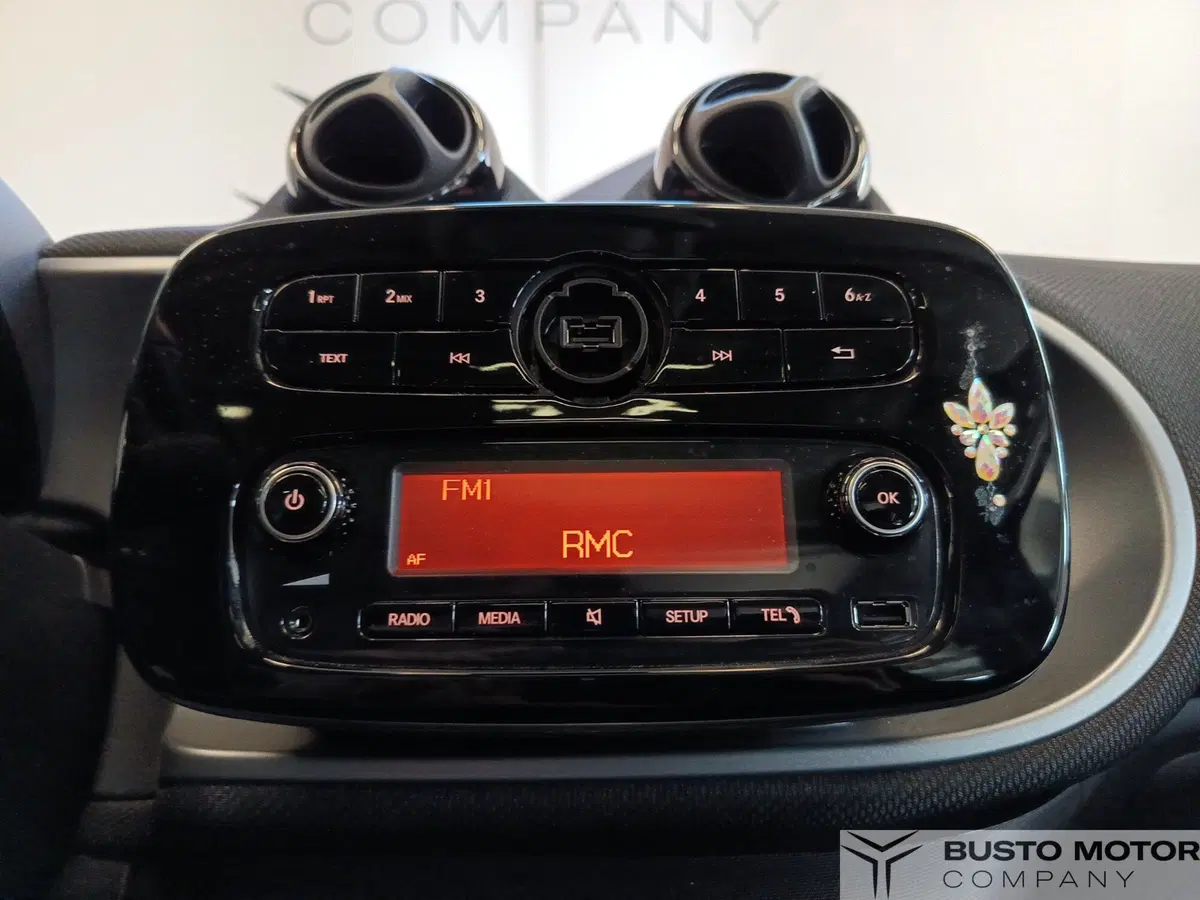 smart forfour usata a Varese (13)