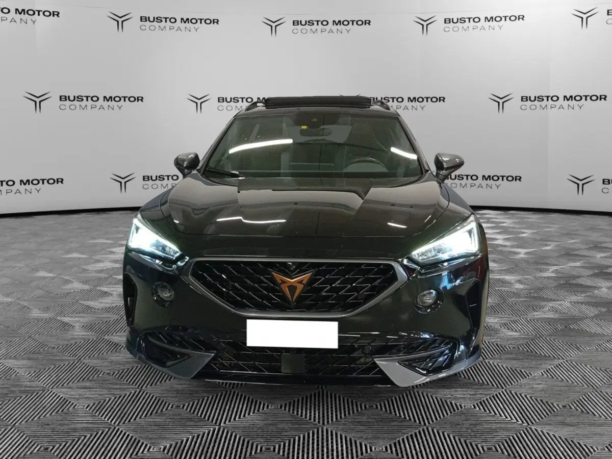 Cupra Formentor usata a Varese (2)