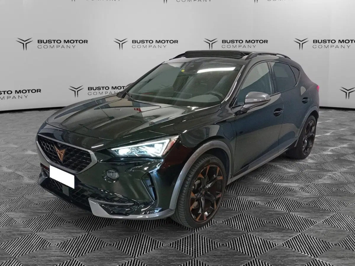 Cupra Formentor usata a Varese (3)