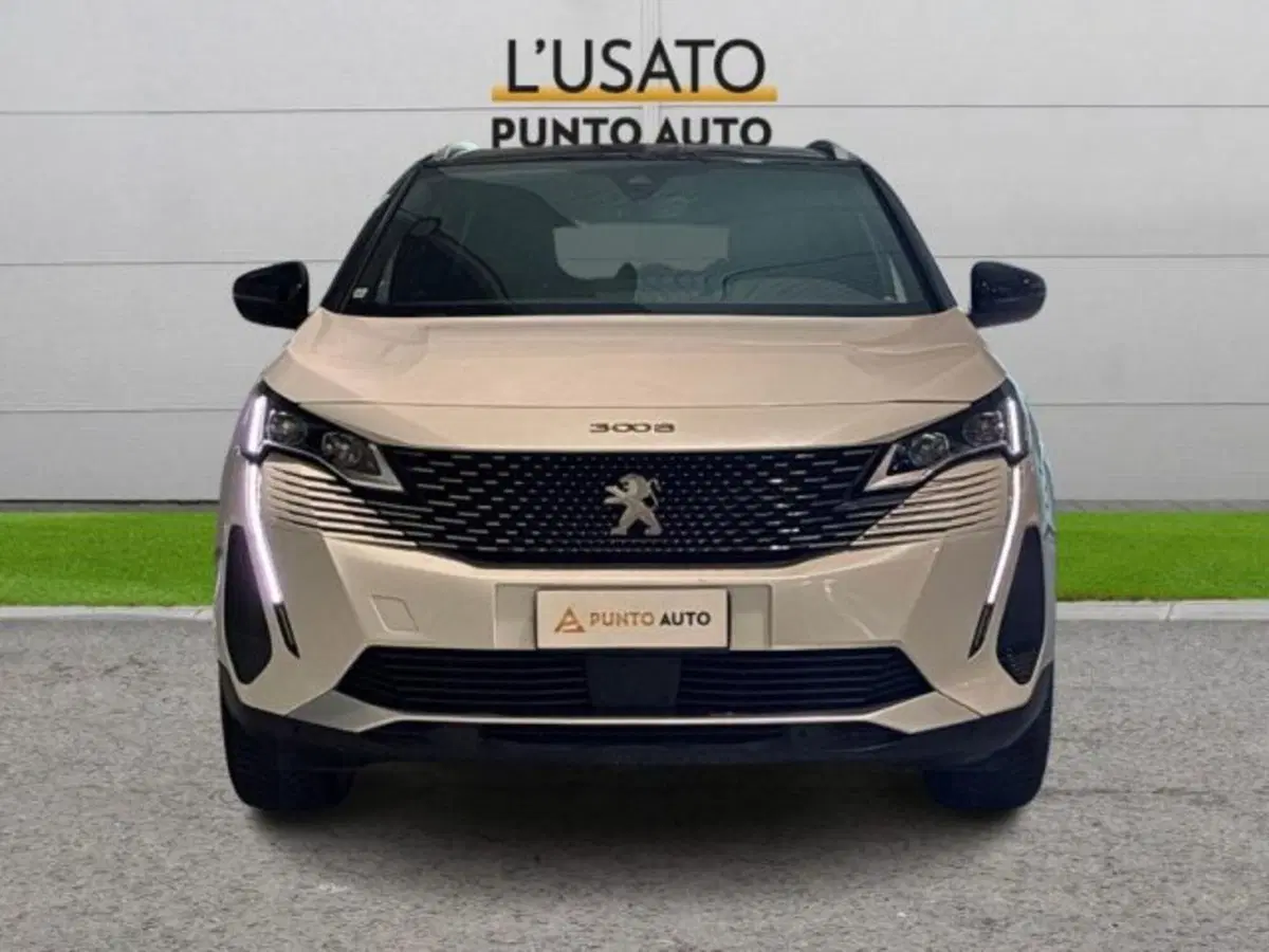 Peugeot 3008 usata a Ancona (2)