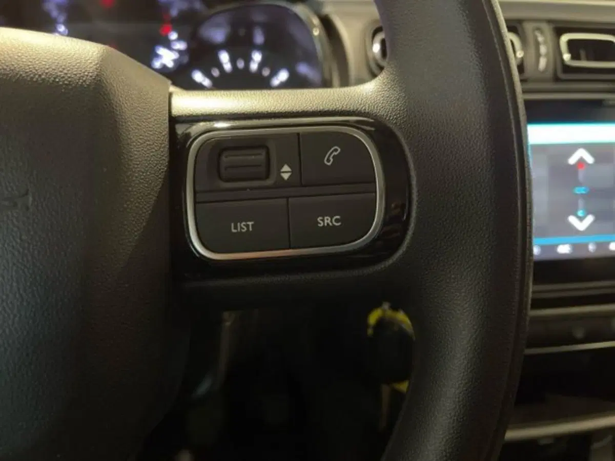 Citroen C3 usata a Ancona (20)