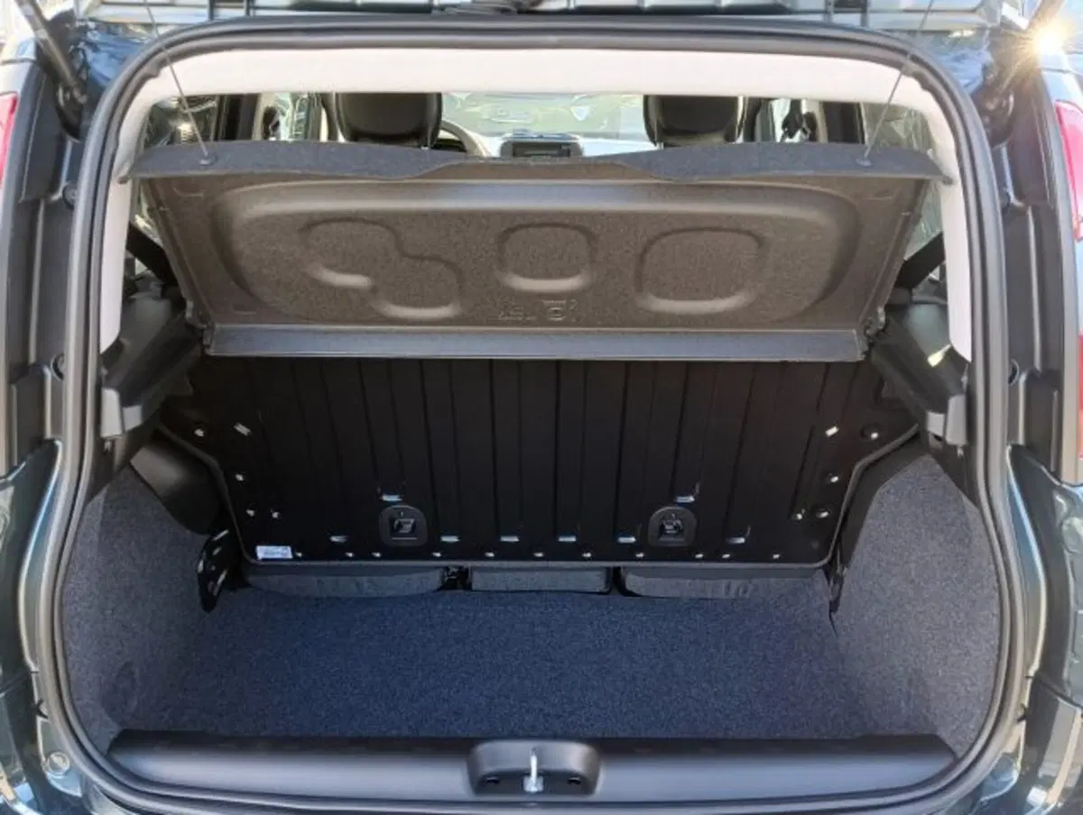 Fiat Panda Cross nuova a Brescia (15)
