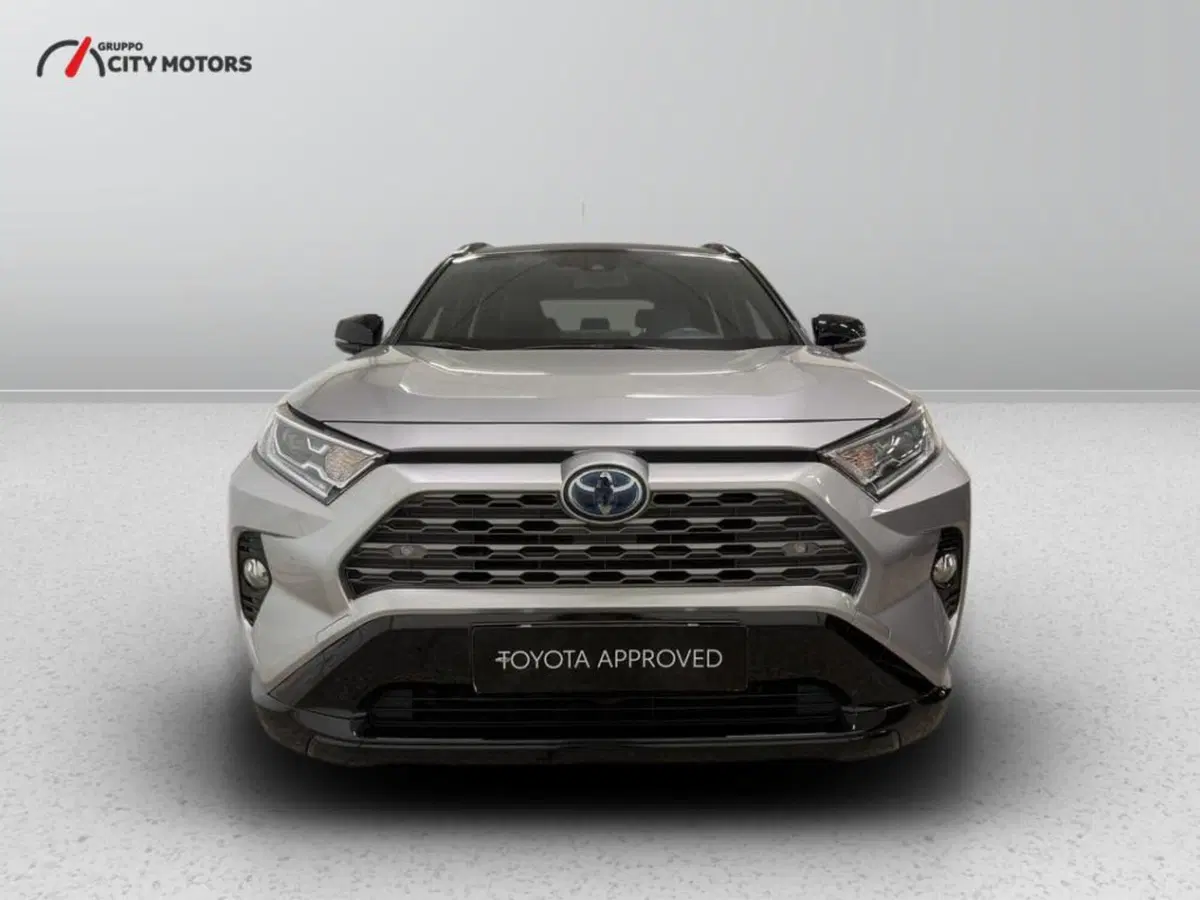 Toyota Rav4 usata a Monza e Brianza (3)