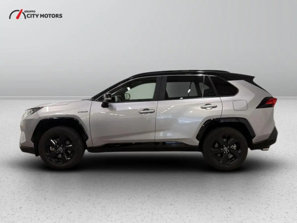 Toyota Rav4 usata a Monza e Brianza (4)