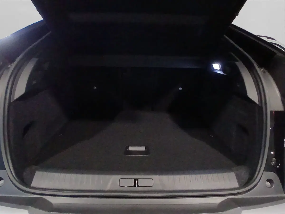Peugeot 3008 usata a Genova (17)