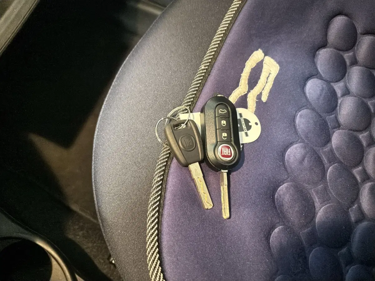 Fiat 500 usata a Genova (19)