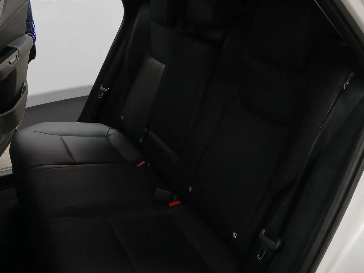 Lexus NX usata a Genova (10)