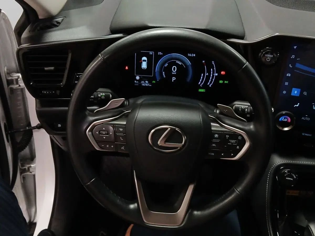 Lexus NX usata a Genova (14)