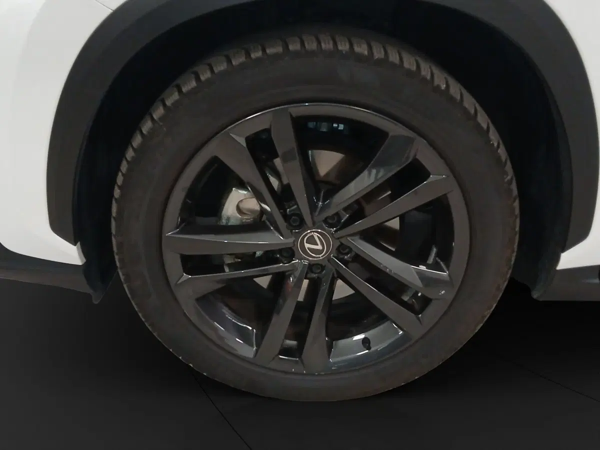 Lexus NX usata a Genova (18)